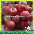 Apple fuji China fornecedor